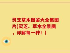 灵芝草木图鉴大全集图片(灵芝、草木全景图，详解每一种！)