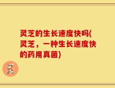 灵芝的生长速度快吗(灵芝，一种生长速度快的药用真菌)