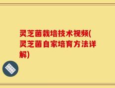 灵芝菌栽培技术视频(灵芝菌自家培育方法详解)