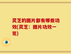 灵芝的图片都有哪些功效(灵芝：图片功效一览)