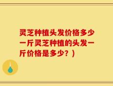 灵芝种植头发价格多少一斤灵芝种植的头发一斤价格是多少？)