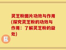 灵芝粉图片功效与作用(探究灵芝粉的功效与作用：了解灵芝粉的益处)