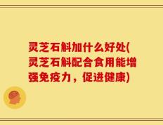 灵芝石斛加什么好处(灵芝石斛配合食用能增强免疫力，促进健康)