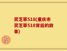 灵芝草518(重庆市灵芝草518背后的故事)