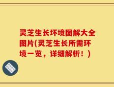 灵芝生长坏境图解大全图片(灵芝生长所需环境一览，详细解析！)