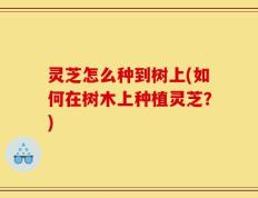 灵芝怎么种到树上(如何在树木上种植灵芝？)