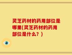灵芝药材的药用部位是哪里(灵芝药材的药用部位是什么？)