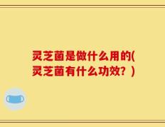 灵芝菌是做什么用的(灵芝菌有什么功效？)