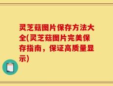 灵芝菇图片保存方法大全(灵芝菇图片完美保存指南，保证高质量显示)
