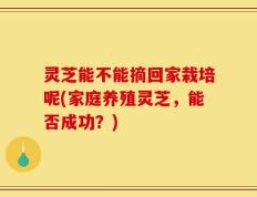 灵芝能不能摘回家栽培呢(家庭养殖灵芝，能否成功？)