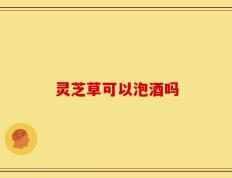 灵芝草可以泡酒吗