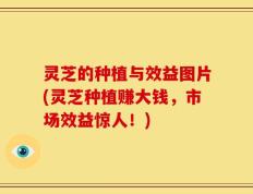 灵芝的种植与效益图片(灵芝种植赚大钱，市场效益惊人！)