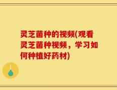 灵芝菌种的视频(观看灵芝菌种视频，学习如何种植好药材)