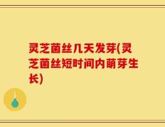 灵芝菌丝几天发芽(灵芝菌丝短时间内萌芽生长)