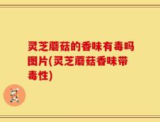 灵芝蘑菇的香味有毒吗图片(灵芝蘑菇香味带毒性)