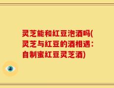 灵芝能和红豆泡酒吗(灵芝与红豆的酒相遇：自制蜜红豆灵芝酒)