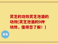 灵芝的功效灵芝泡酒的功效(灵芝泡酒的9种功效，值得您了解！)