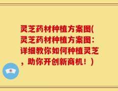 灵芝药材种植方案图(灵芝药材种植方案图：详细教你如何种植灵芝，助你开创新商机！)