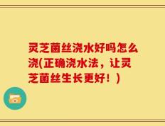灵芝菌丝浇水好吗怎么浇(正确浇水法，让灵芝菌丝生长更好！)