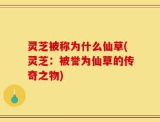 灵芝被称为什么仙草(灵芝：被誉为仙草的传奇之物)