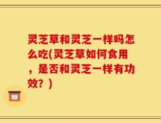 灵芝草和灵芝一样吗怎么吃(灵芝草如何食用，是否和灵芝一样有功效？)