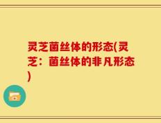 灵芝菌丝体的形态(灵芝：菌丝体的非凡形态)
