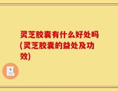 灵芝胶囊有什么好处吗(灵芝胶囊的益处及功效)