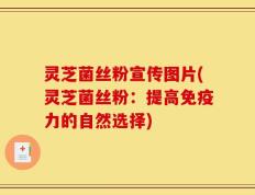 灵芝菌丝粉宣传图片(灵芝菌丝粉：提高免疫力的自然选择)