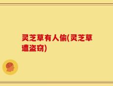 灵芝草有人偷(灵芝草遭盗窃)