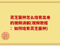 灵芝菌种怎么培育出来的视频讲解(视频教程：如何培育灵芝菌种)
