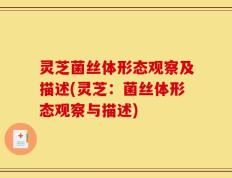 灵芝菌丝体形态观察及描述(灵芝：菌丝体形态观察与描述)