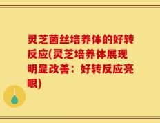 灵芝菌丝培养体的好转反应(灵芝培养体展现明显改善：好转反应亮眼)