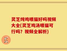 灵芝炖鸡喂猫好吗视频大全(灵芝鸡汤喂猫可行吗？视频全解析)