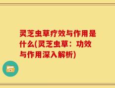 灵芝虫草疗效与作用是什么(灵芝虫草：功效与作用深入解析)