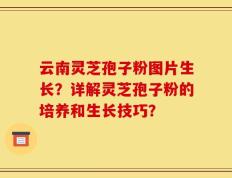 云南灵芝孢子粉图片生长？详解灵芝孢子粉的培养和生长技巧？