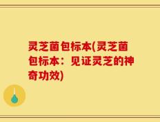 灵芝菌包标本(灵芝菌包标本：见证灵芝的神奇功效)