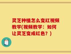 灵芝种植怎么变红视频教学(视频教学：如何让灵芝变成红色？)