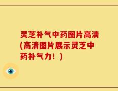 灵芝补气中药图片高清(高清图片展示灵芝中药补气力！)
