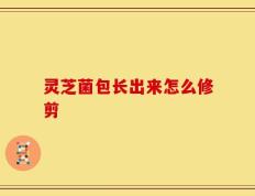灵芝菌包长出来怎么修剪