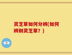 灵芝草如何分辨(如何辨别灵芝草？)