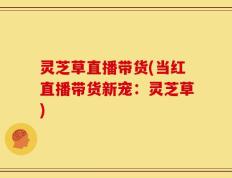 灵芝草直播带货(当红直播带货新宠：灵芝草)