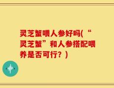 灵芝蟹喂人参好吗(“灵芝蟹”和人参搭配喂养是否可行？)