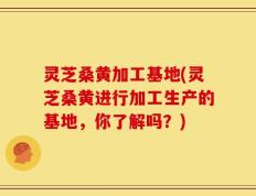 灵芝桑黄加工基地(灵芝桑黄进行加工生产的基地，你了解吗？)