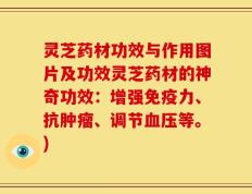 灵芝药材功效与作用图片及功效灵芝药材的神奇功效：增强免疫力、抗肿瘤、调节血压等。)