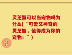 灵芝蟹可以当宠物吗为什么(“可爱又神奇的灵芝蟹，值得成为你的宠物！”)