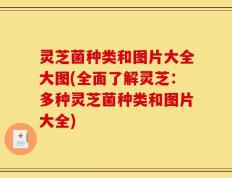 灵芝菌种类和图片大全大图(全面了解灵芝：多种灵芝菌种类和图片大全)