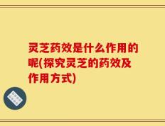 灵芝药效是什么作用的呢(探究灵芝的药效及作用方式)