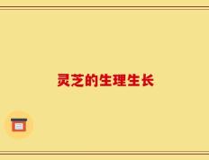 灵芝的生理生长