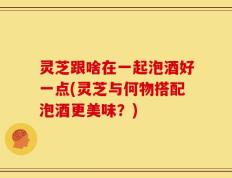 灵芝跟啥在一起泡酒好一点(灵芝与何物搭配泡酒更美味？)