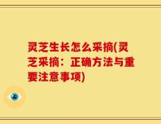 灵芝生长怎么采摘(灵芝采摘：正确方法与重要注意事项)